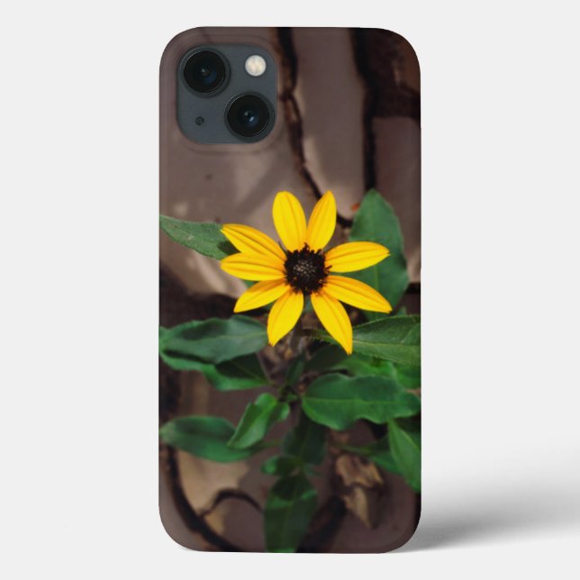 Coques Case-Mate iPhone Tournesol de boue craquée (Verso)