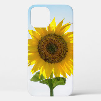 Case-Mate iPhone Case Tournesol jaune