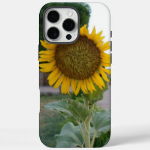 Coques iPhone 16 Pro Max Tournesol Naturel à Couper le Souffle Rayonnemen