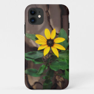 Coques Pour iPhone Tournesol poussant de boue fissurée
