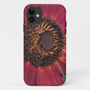 Coque iPhone 11 Tournesol rouge