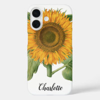 Tournesol Vintage par Basilius Besler