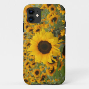 Etui iPhone Case-Mate Tournesols