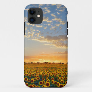 Coques Pour iPhone Tournesols au coucher du soleil