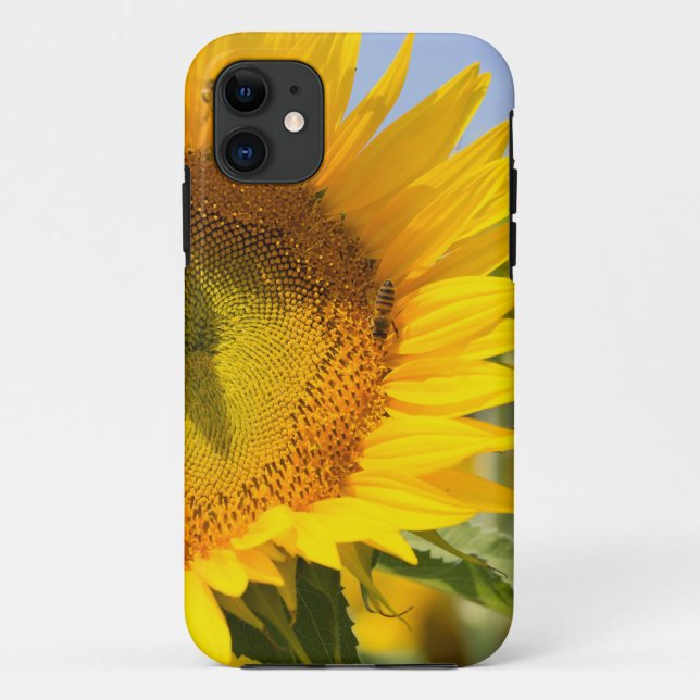 Coques Case-Mate iPhone Tournesols glorieux ! (Dos)