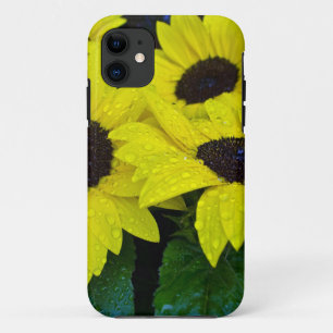 COQUES POUR iPhone TOURNESOLS MAGNIFIQUES DE JARDIN