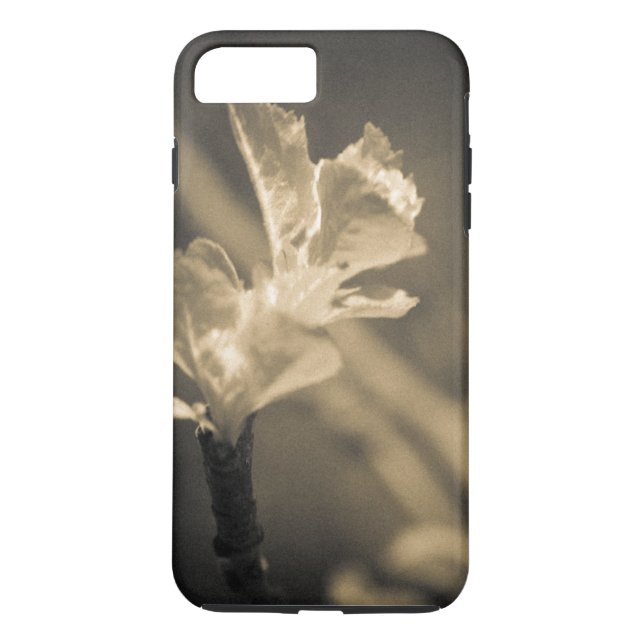 Coques Case-Mate iPhone Trace du printemps (Dos)