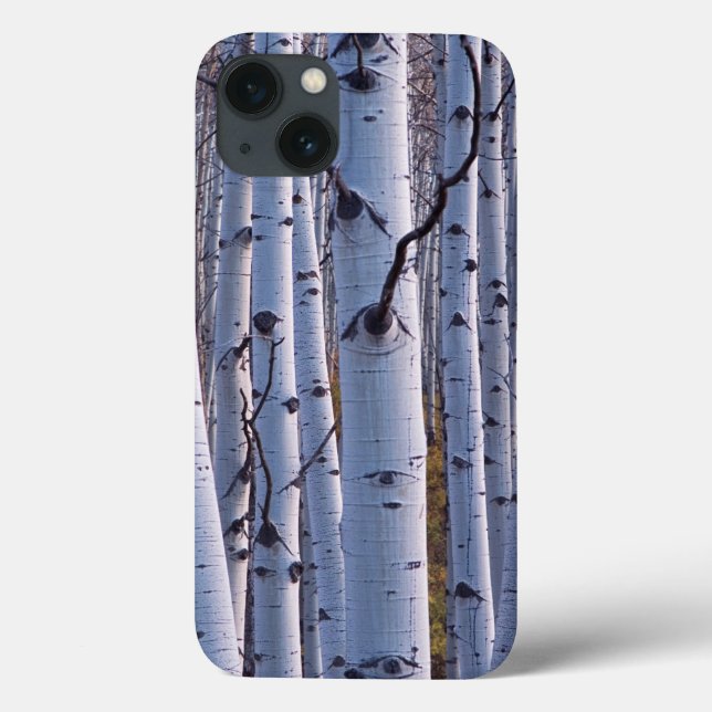 Coques Case-Mate iPhone Trembles dans le parc national de Gunnison (Verso)