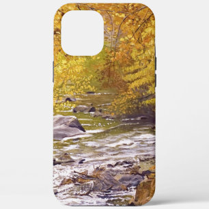 Case-Mate iPhone Case Trembles d'automne colorés à Morrison Colorado
