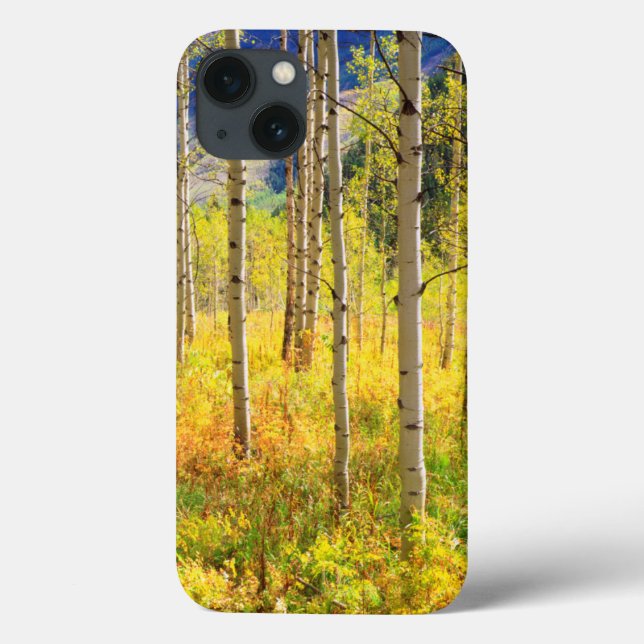Coques Case-Mate iPhone Trembles en automne dans les Rocheuses (Verso)