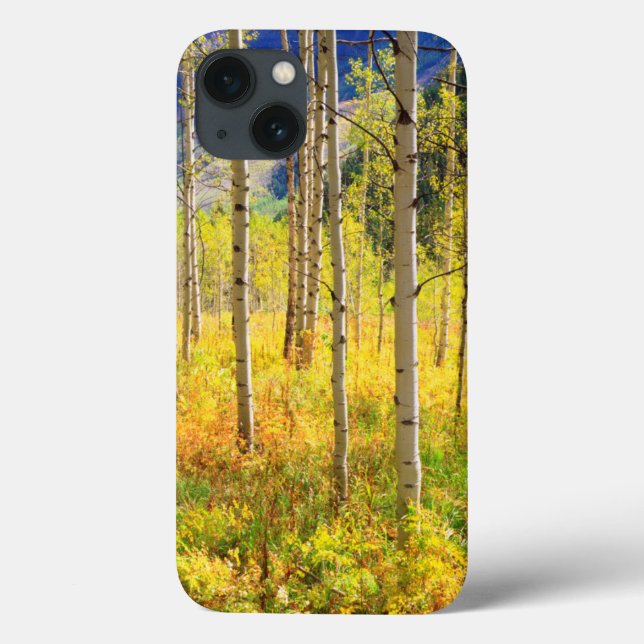 Coques Case-Mate iPhone Trembles en automne dans les Rocheuses (Verso)