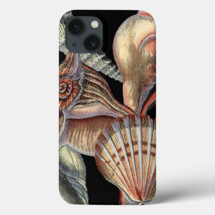 Case-Mate iPhone Case Trésors de la mer