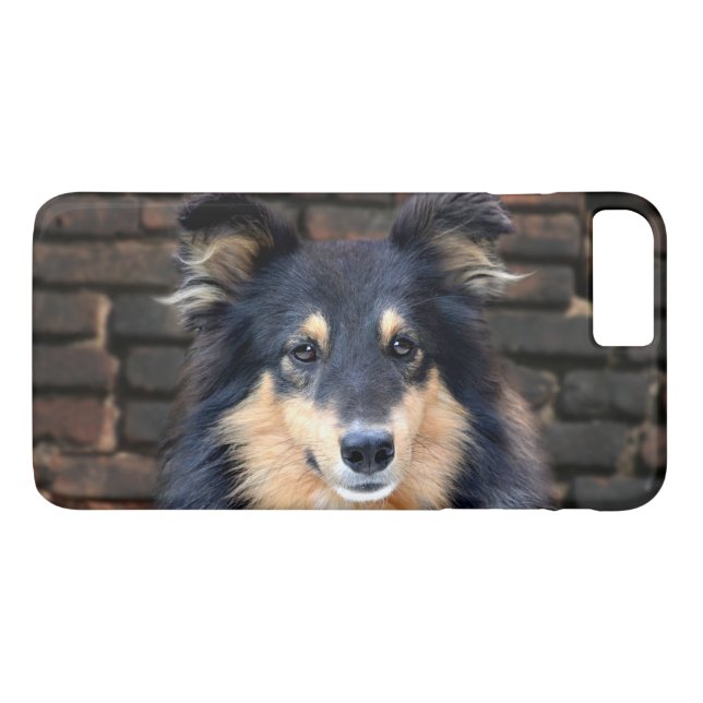 Coques Case-Mate iPhone Tricolor Sheltie face (Dos (Horizontal))