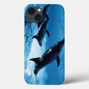 Etui iPhone Case-Mate Trio de dauphins