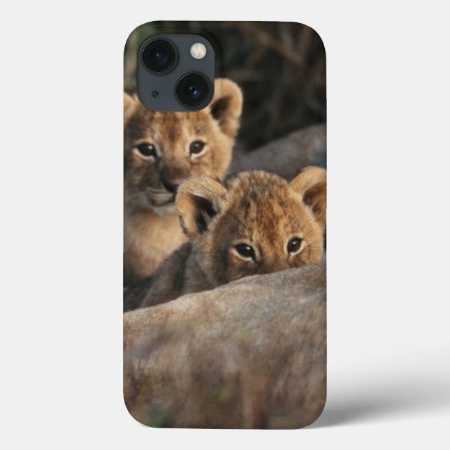 Coques Case-Mate iPhone Trio de vieux se reposer de six semaines de petits (Verso)