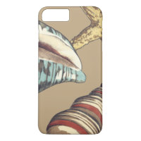 Trio Shell sur Khaki