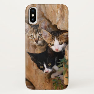 Coque iPhone X Trois Cute Curieux Chat Kittens Visages Drôle Pho