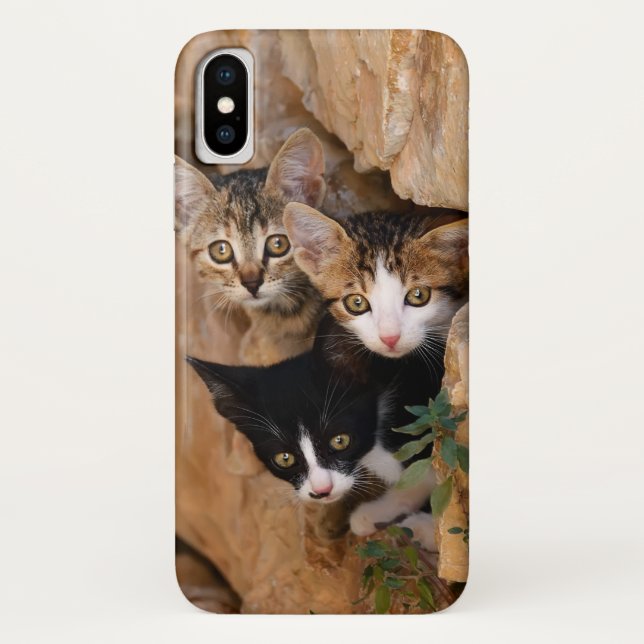 Coques Case-Mate iPhone Trois Cute Curieux Chat Kittens Visages Drôle Phot (Dos)