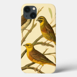 Coque Case-Mate iPhone Trois oiseaux domestiques étés perché sur une