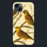 Coque Case-Mate iPhone Trois oiseaux domestiques perchés sur une branche<br><div class="desc">L'artiste W. Rutledge saisit parfaitement les couleurs vives de ces oiseaux domestiques. Obtenez cette peinture simple mais joliment réaliste. Vue latérale de deux oiseaux jaunes et d'un oiseau plus foncé sur une branche et regardant dans des directions différentes.</div>