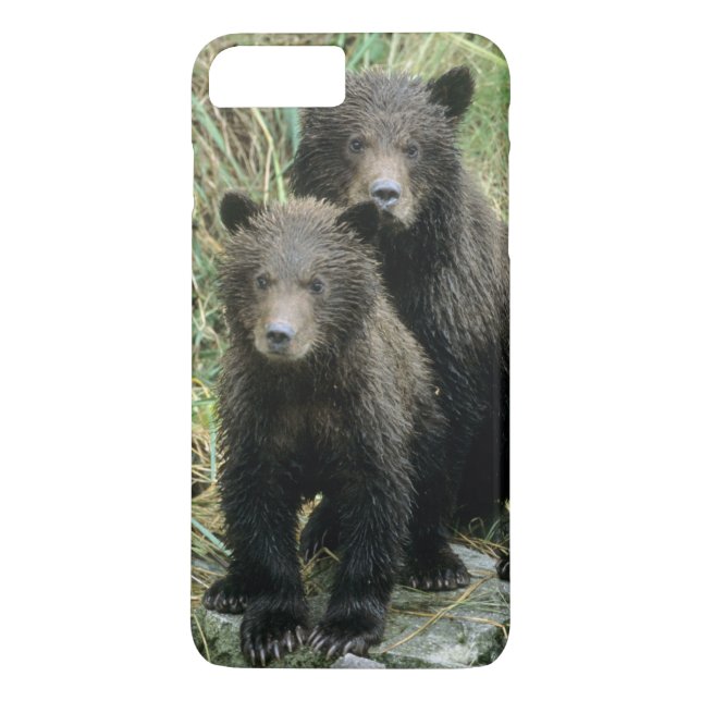 Coques Case-Mate iPhone Trois oursons grizzlis ou coys (Dos)