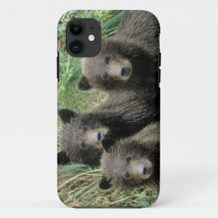Coque Case-Mate Pour iPhone Trois oursons grizzlis ou coys