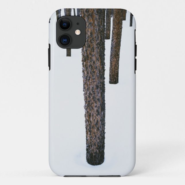 Coques Case-Mate iPhone Troncs d'arbre dans la neige (Dos)
