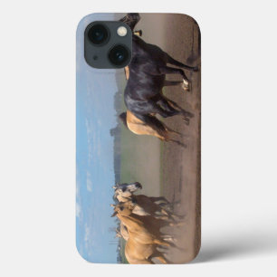 Etui iPhone 13 Troupeau courant de cheval