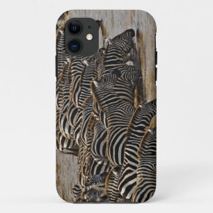 Etui iPhone Case-Mate Troupeau de zèbres de Burchell buvant dans le Mara