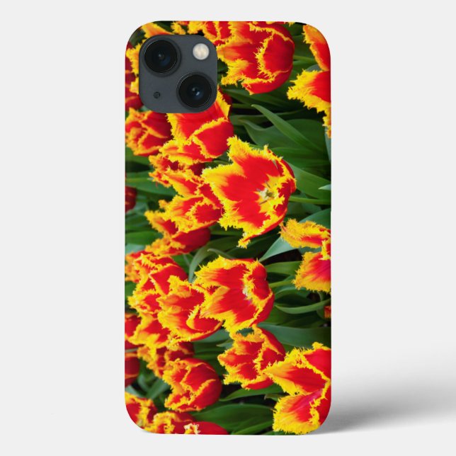 Coques Case-Mate iPhone Tulipa Fabio, Keukenhof, Netherlands (Verso)