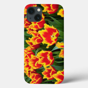 Coque Case-Mate iPhone Tulipa Fabio, Keukenhof, Netherlands