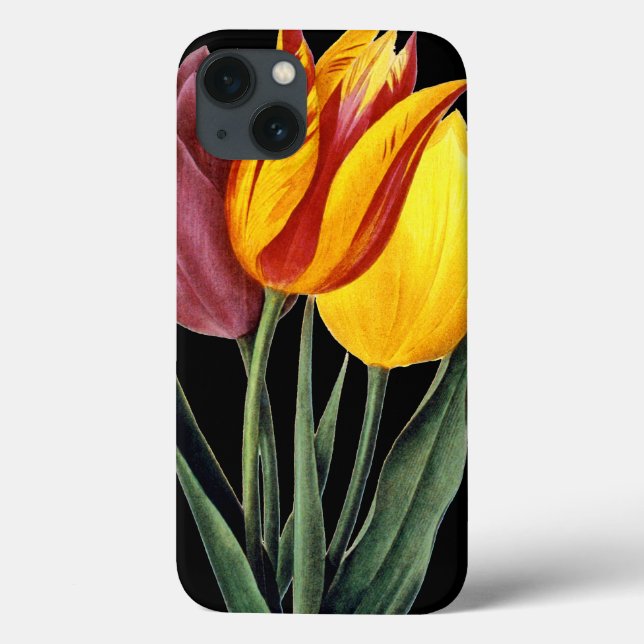 Coques Case-Mate iPhone Tulipe (Tulipa Gesneriana) (Verso)