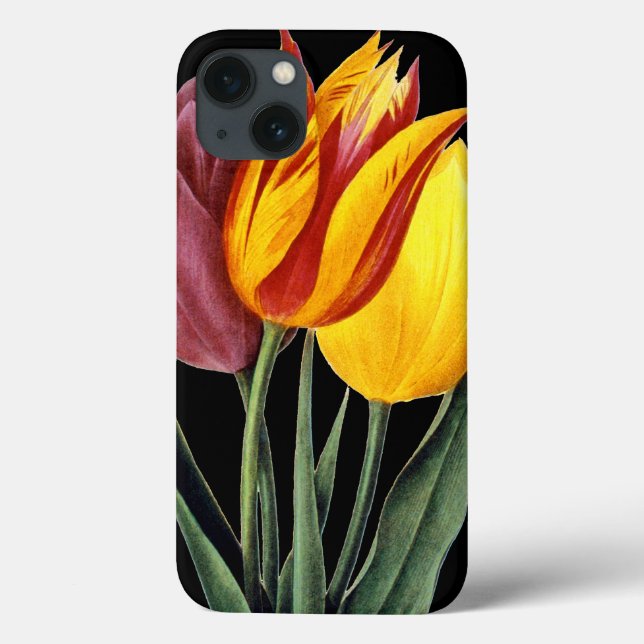 Coques Case-Mate iPhone Tulipe (Tulipa Gesneriana) (Verso)