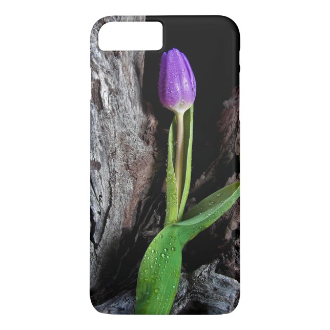 Coques Case-Mate iPhone tulipe violette profonde sur bois flotté (Dos)