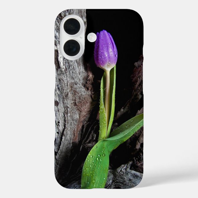 Coques Case-Mate iPhone tulipe violette profonde sur bois flotté (Verso)