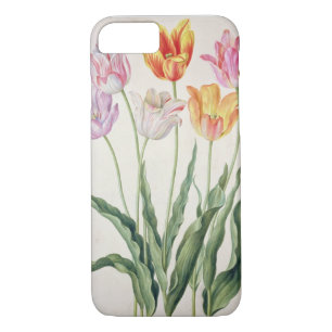 Case-Mate iPhone Case Tulipes, du "Florilegium de Nassau" (la semaine