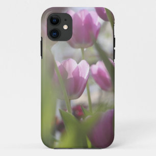 Coque Case-Mate iPhone Tulipes, Jardins de Keukenhoff, Pays-Bas.