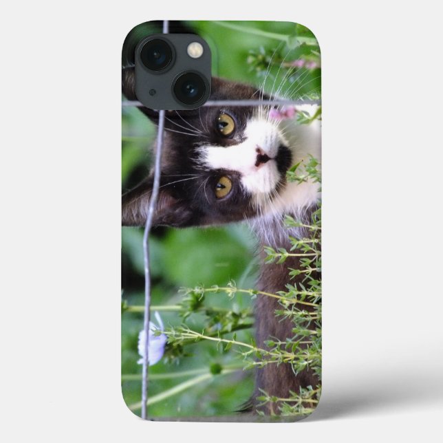 Coques Case-Mate iPhone Tuxedo Kitten Xena dans le boîtier de l'iPad de ja (Verso)