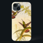 Etui iPhone 13 Two Colorful Hummingbirds Aiming for Same Flower<br><div class="desc">Artist John Gould was passionate about birds. In this colored drawing,  the two hummingbirds and the flower are represented beautifully. The details in this colorful fine art will delight any art lover.</div>