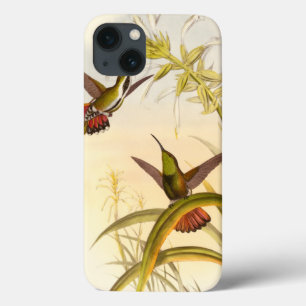 Etui iPhone 13 Two Colorful Hummingbirds Aiming for Same Flower