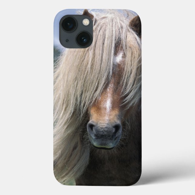 Coques Case-Mate iPhone UK, Scotland, Shetland Islands, Shetland pony (Verso)