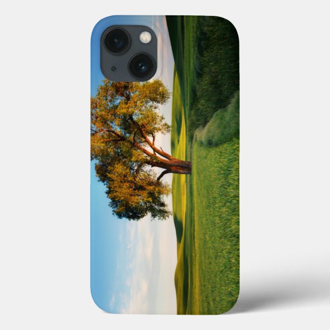 Coques Case-Mate iPhone Un arbre isolé entouré de collines ondoyantes de b (Verso)