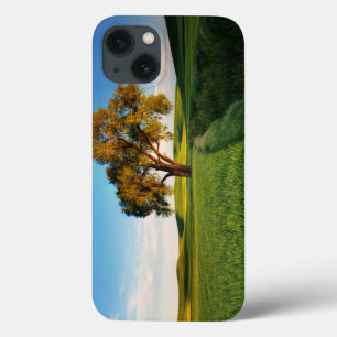 Etui iPhone 13 Un arbre isolé entouré de collines ondoyantes de b