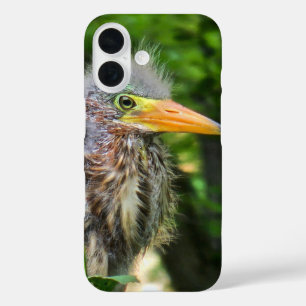 Coque Pour iPhone 16 Un bébé héron vert