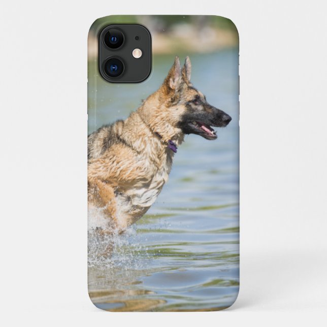 Coques Case-Mate iPhone Un berger allemand se jette dans l'eau (Dos)