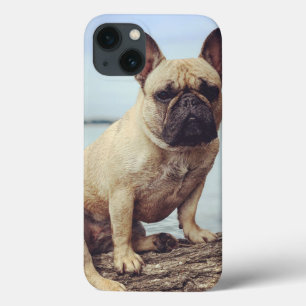 Case-Mate iPhone Case Un Bulldog français