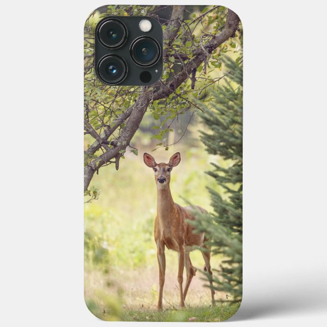 Coques Case-Mate iPhone Un cerf solitaire  (Verso)