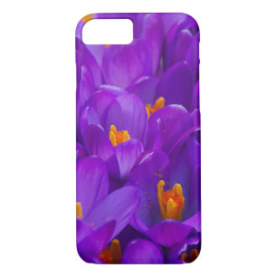 Coque Case-Mate iPhone Un champ de crocus violets