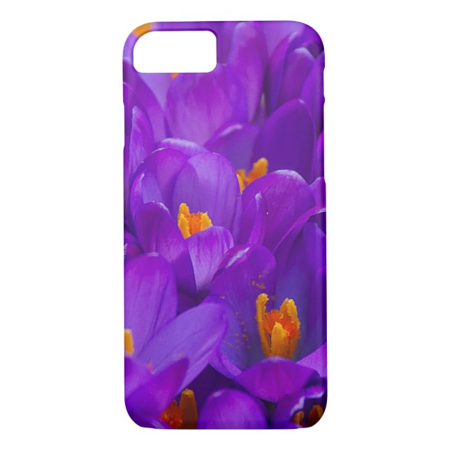Coques Case-Mate iPhone Un champ de crocus violets (Dos)