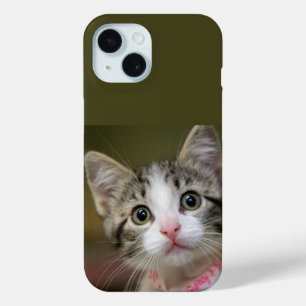 Coque Case-Mate iPhone Un chaton mignon aux yeux verts